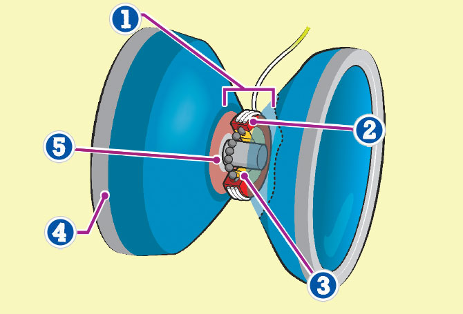 A diagram of a yo-yo with arrows pointing to its axle, sides and string