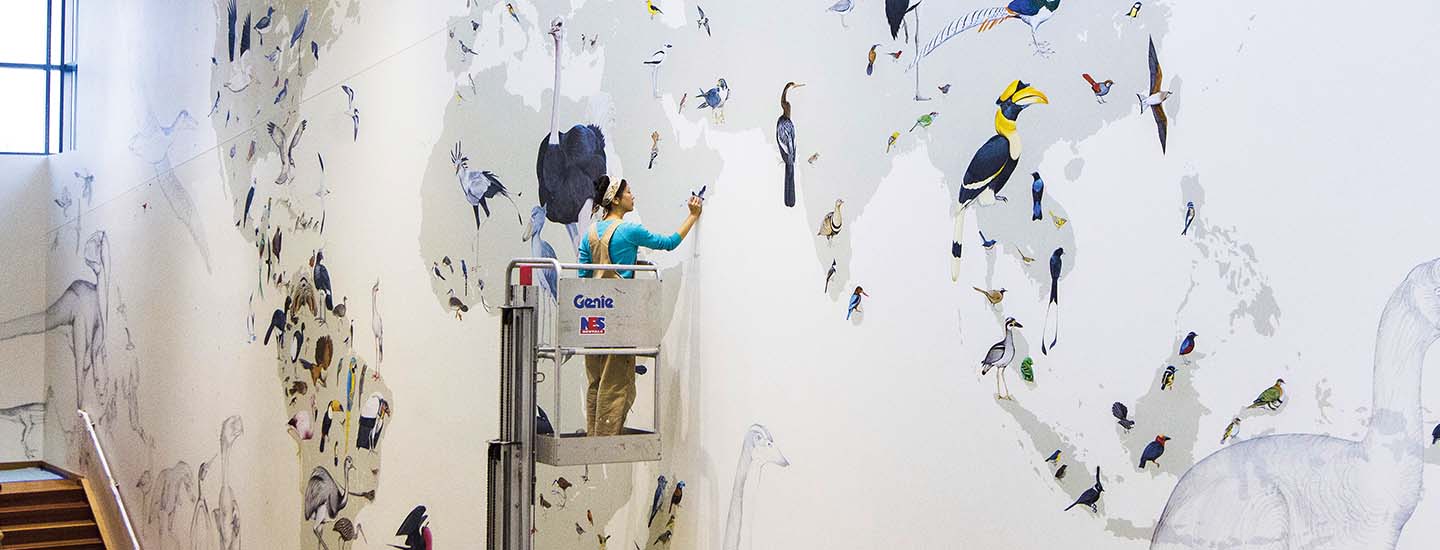 An artist painting a variety of birds on a large wall