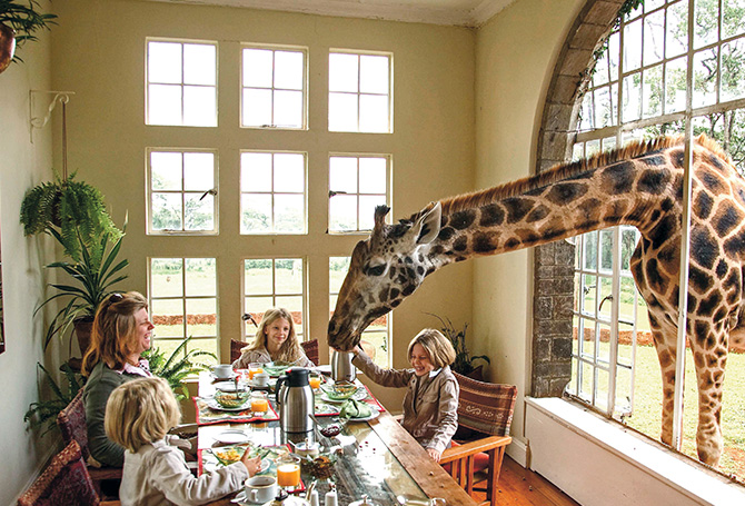 Photo of people eating breakfast while a giraffe pokes its head through the window