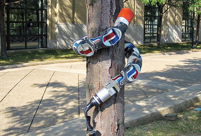 Robot snake linked around a tree