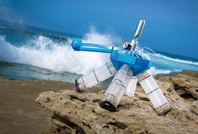 Four-legged robot turtle on a beach